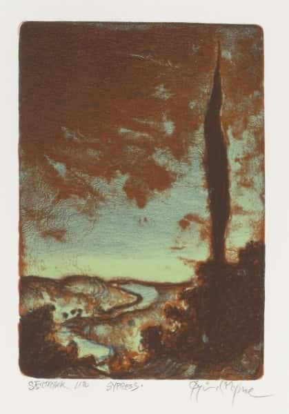 Sypress av Øyvind Myhre