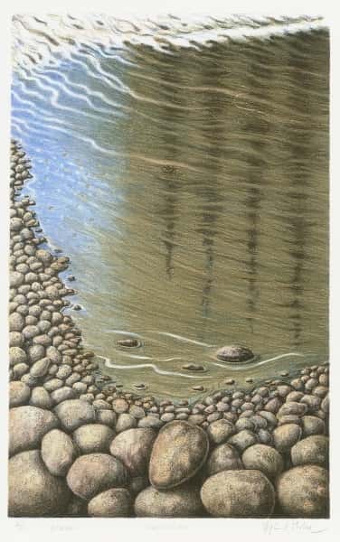 Suldalsvågen av Øyvind Myhre