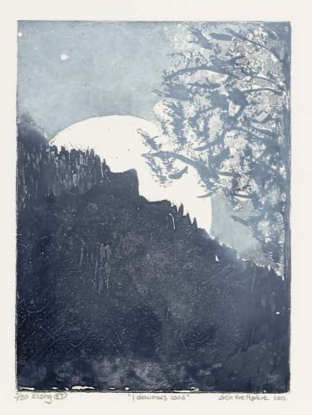 I draumars land av Svein Are Mørkve