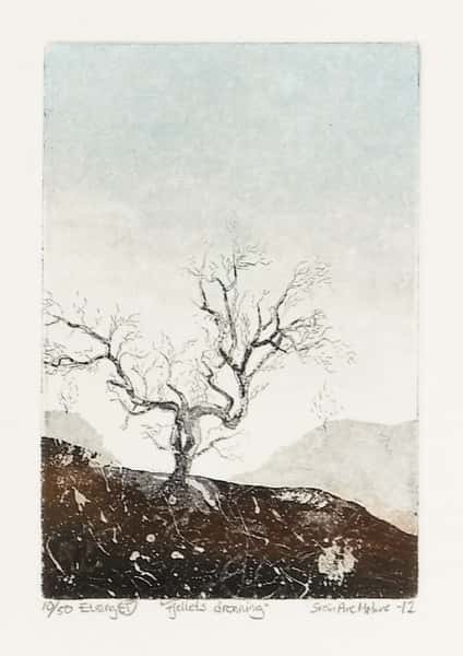 Fjellets dronning av Svein Are Mørkve