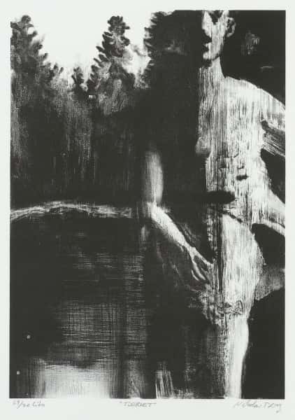 Tjernet av Nikolai Berg