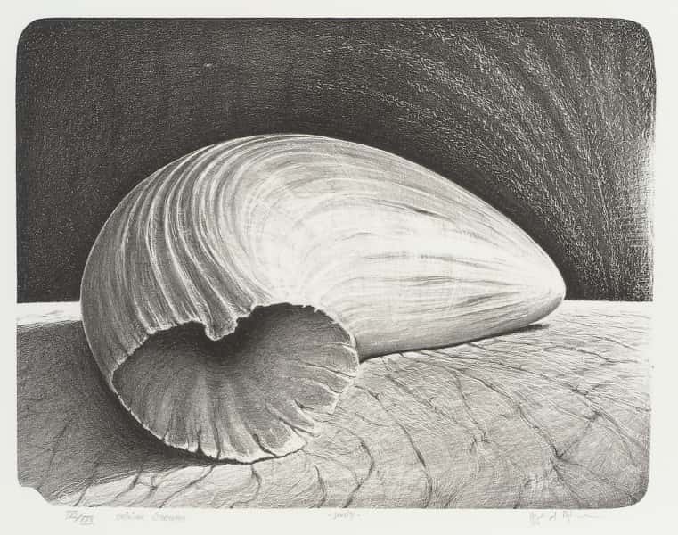 Duality av Øyvind Myhre