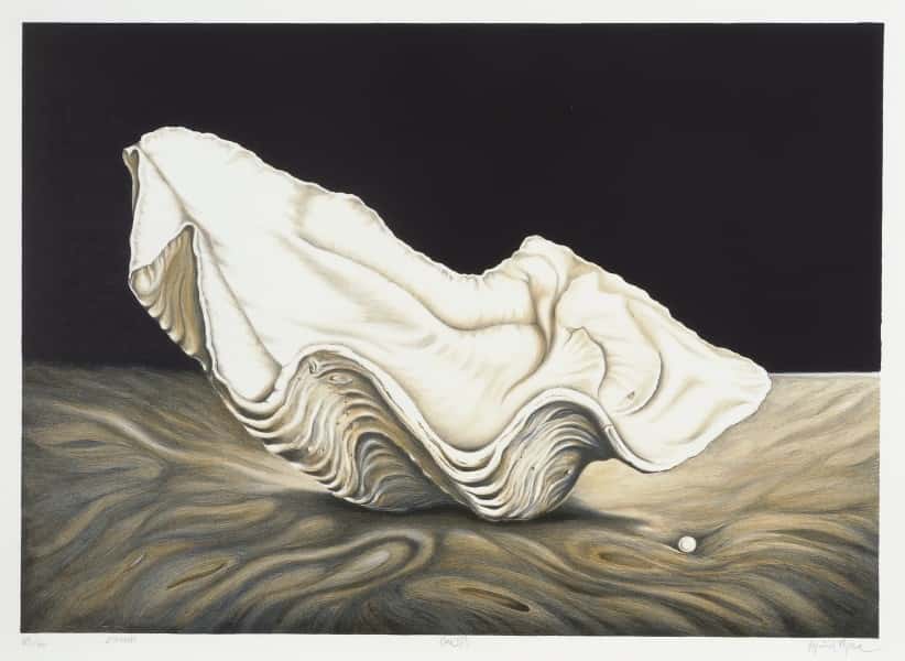 Concha av Øyvind Myhre