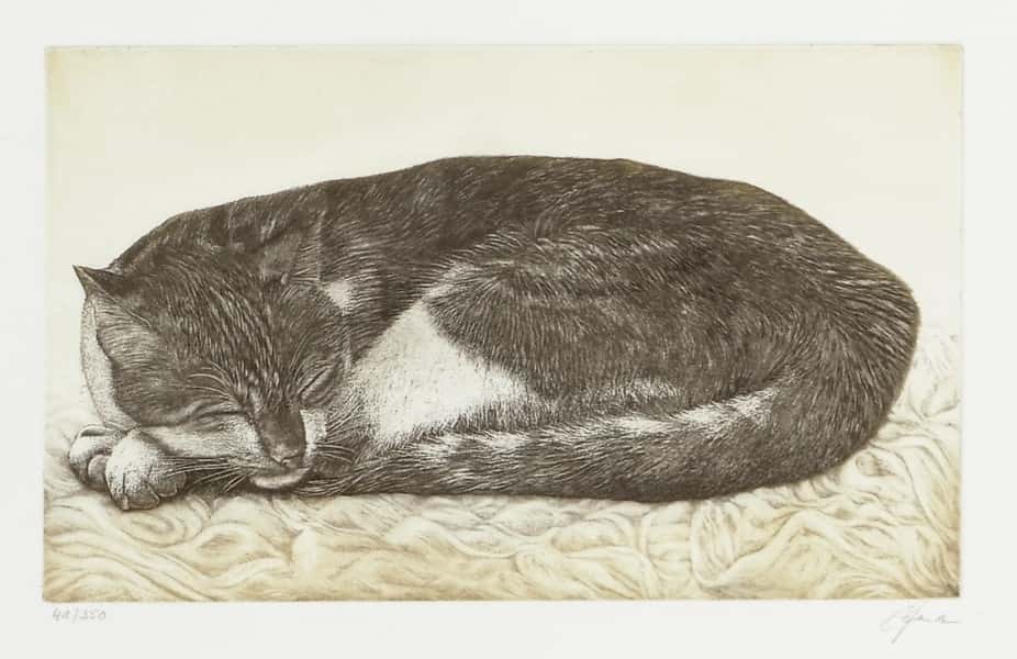 Ingen tittel av Bernd Hauck