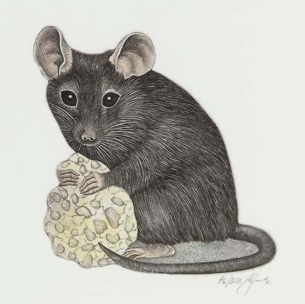 Ingen tittel av Bernd Hauck