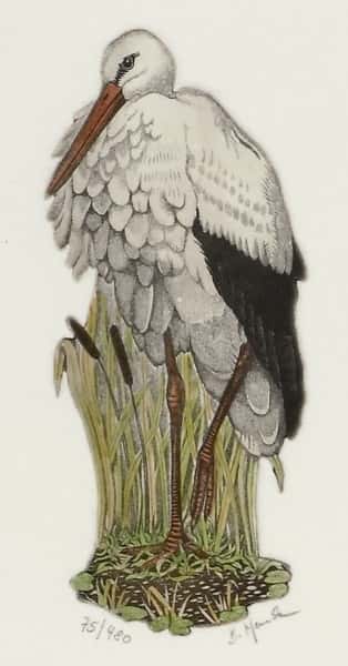 Ingen tittel av Bernd Hauck