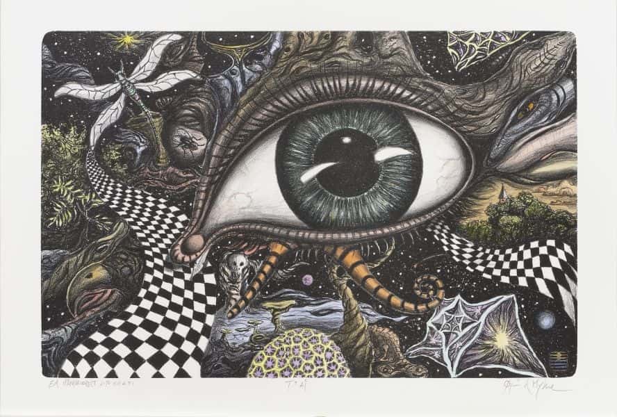 T Ai av Øyvind Myhre