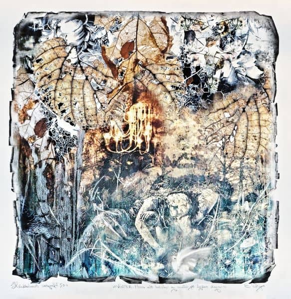 Vinter av Elisabeth Werp