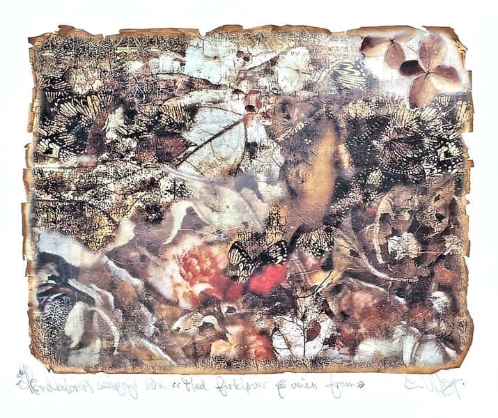 Med firkløver på veien frem av Elisabeth Werp