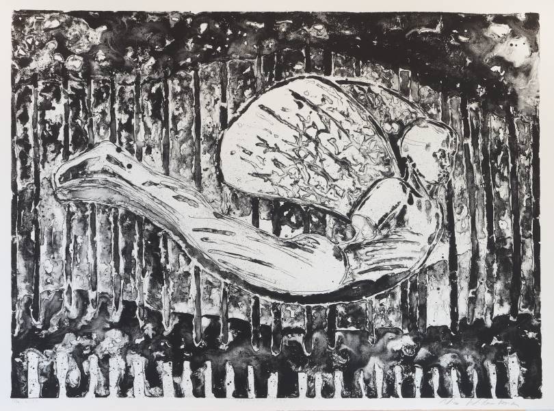 Gjennom Skog av Nico Widerberg