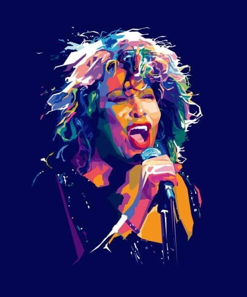 Private Dancer (Tina Turner) av Torbjørn Endrerud